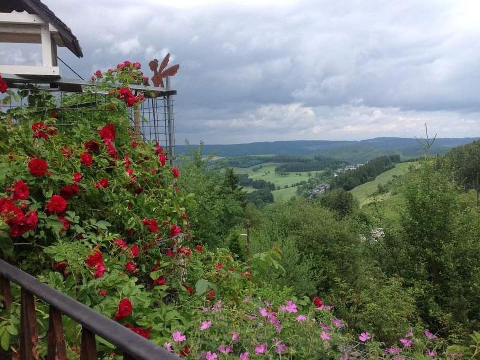 Ferienwohnungen Dorfliebe Doernberg Bestwig Buitenkant foto